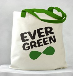 evergreen_07