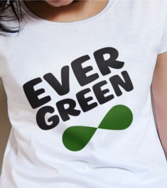evergreen_12